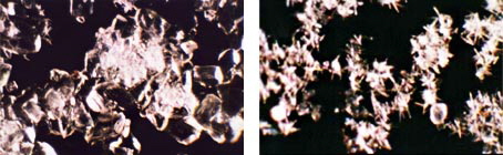 Unterschied zwischen unbehandeltem und behandeltem Wasser